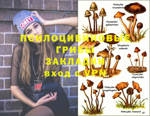 дурь Абдулино